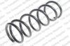 NISSA 550209W50A Coil Spring
